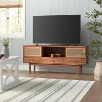 Sand & Stable™ Esther TV Stand for TVs up to 65"