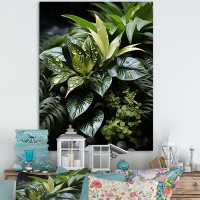 Latitude Run® Plants Botanical Oasis Black - Floral Canvas Art Print