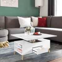 Everly Quinn Lift Top Coffee Table Multi Functional