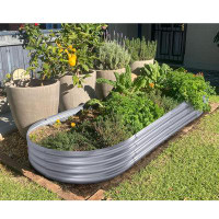 Arlmont & Co. Selita 8 ft x 2 ft Oval Galvanized Raised Garden Bed Metal Outdoor Elevated Planter Box