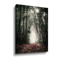 Millwood Pines Path In The Woods By Susan Ball Gallery Wrapped Canvas