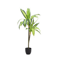 Primrue 40" Dracaena Tree in 5.5" Plastic Pot (22 Leaf)"