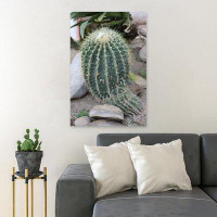MentionedYou Green Cactus Plant On Grey Concrete - 1 Piece Rectangle Graphic Art Print On Wrapped Canvas