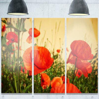 Made in Canada - Design Art Colourful Red Poppy Flower Field' 3 Piece Photographic Print on Metal Set