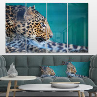 Made in Canada - Design Art 'Vigilant Leopard Close-Up View' 4 Piece Photographic Print on Metal Set