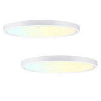 Latitude Run® 24in.White Integrated LED Ceiling Light Fixture Modern Hanging Light With 3000/4000/5000K