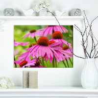 Made in Canada - East Urban Home Floral 'Echinacea flowers' Photographic Print on Wrapped Canvas