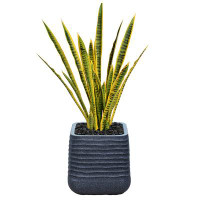 Vintage Home 41.57" Artificial Snake Plant in Planter