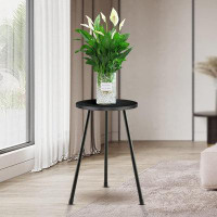 George Oliver Tall Plant Stand, Black Plant Table for Flower Pots, Small Round Side End Table