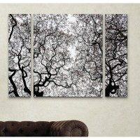 East Urban Home Japanese Maple Spring Abstract by Kurt Shaffer - 3 Piece Multi-Piece Image Print Set on Canvas