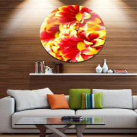 Made in Canada - Design Art 'Red Yellow Flower Background Photo' Photographic Print on Metal