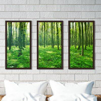 Picture Perfect International Green Forest - 3 Piece Picture Frame Photograph Print Set on Acrylic