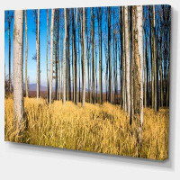 Made in Canada - Design Art Clear Sky and Bush in Thick Forest - Wrapped Canvas Photograph Print