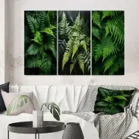 Bay Isle Home™ Ferns Plant Monochrome Symphony - Floral & Botanical Art Set Of 3 Pieces