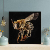Rosalind Wheeler Black And Yellow Bee On Brown Plant - Wrapped Canvas Painting