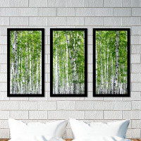 Picture Perfect International Birch Trees III - 3 Piece Picture Frame Photograph Print Set on Acrylic