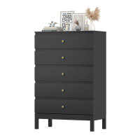 Latitude Run® 5 - Drawer Dresser with Smooth Metal Rail, Clothing Organizer W ample Space, black