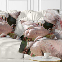 The Twillery Co. Corwin Abstract Pat of Flamingos Close up Lumbar Pillow