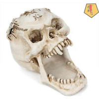 Trinx White Skull Pen Holder Office Desktop Ossuary Skulls Decor Halloween Decorations Skeleton Head Stationery Holder(W
