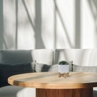 Ebern Designs Alyanah Ceramic Planter on Wooden Bamboo Stand - Contemporary White Chevron Design