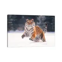 East Urban Home Siberian Tiger Running In The Snow V