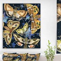 East Urban Home 'Night Moth Butterfly' Oil Painting Print Multi-Piece Image on Wrapped Canvas