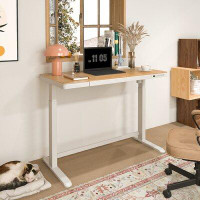 The Twillery Co. Murry Bamboo Texture Height Adjustable Standing Desk with Drawer