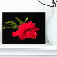 Design Art Bright Red Hibiscus on Black - Graphic Art on Wrapped Canvas