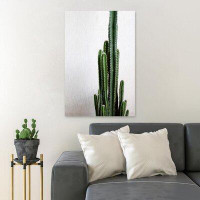 MentionedYou Green Cactus Plant On White Surface - 1 Piece Rectangle Graphic Art Print On Wrapped Canvas