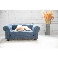 La-Z-Boy Tucson Furniture Dog Sofa Bed