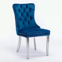 House of Hampton Gamliel Tufted Velvet Parson Chair in Blue