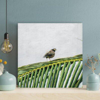 Latitude Run® Grey Bird Perched On Green Plant - 1 Piece Rectangle Graphic Art Print On Wrapped Canvas