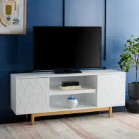 Willa Arlo™ Interiors Gatsby TV Stand for TVs up to 50"