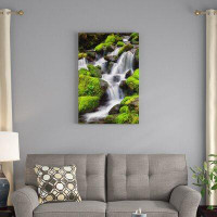 East Urban Home 'Trailside Waterfall II' Photographic Print on Wrapped Canvas