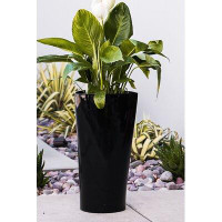 Arlmont & Co. Self Watering Plastic Pot Planter