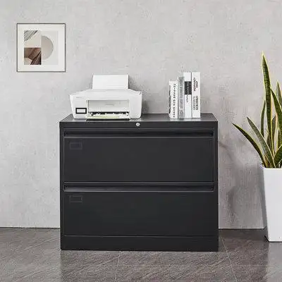 Ebern Designs 2 Drawer Lateral Filing Cabinet For Legal/Letter A4 Size, Large Deep Drawers Locked By Keys, Locking Wide