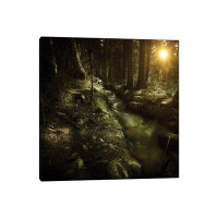 East Urban Home Small Stream In A Forest At Sunset, Pirin National Park, Bulgaria V - Wrapped Canvas Print