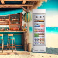 Egles 10.9 Cu.Ft Merchandising Refrigerator with Light Box