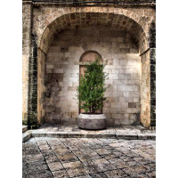 Latitude Run® Italy  Bari  Apulia  Monopoli Arch With Potted Plants In The Courtyard Near The Basilica Of The Madonna De