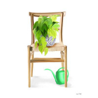 Wildon Home® Plant Lover Wicker Chair