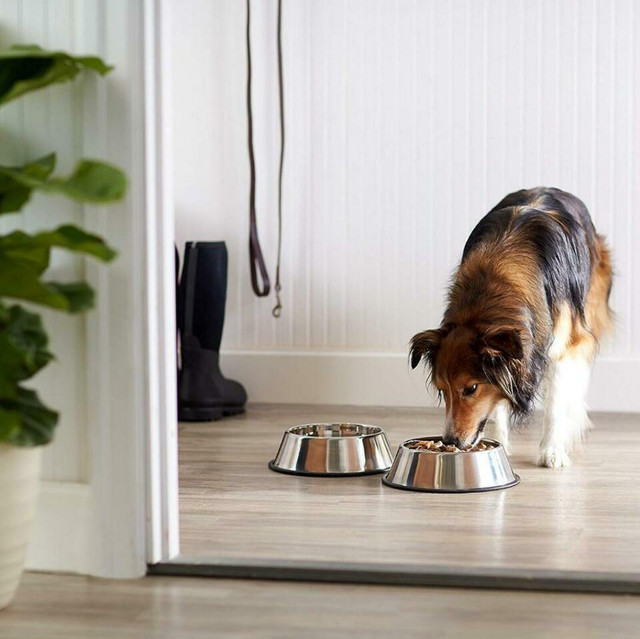 NEW STAINLESS STEEL DOG BOWL PET BOWL CAT PET FOOD in Accessories in Alberta - Image 2