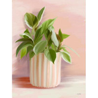 Winston Porter Striped Bohemian Plant I by House Fenway - Wrapped Canvas Print