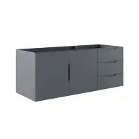 Ebern Designs Lefancy Vitality 48" Double or Single Sink Compatible (Not Included) Bathroom Vanity Cabinet  1