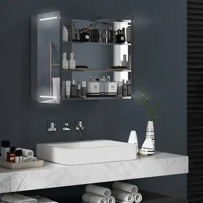 Mirror Cabinet 23.6" W x 5.1" D x 24" H Silver