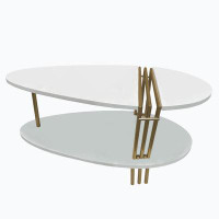 Wenty 36 Inch Modern Coffee Table, Oval Elliptical Shape, White Mango Wood With Antique Brass