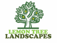 TREE REMOVAL SERVICE - STUMP REMOVAL - BRANCH REMOVAL - TREE CUTTING SERVICE - CALL TODAY FOR A FREE ESTIMATE