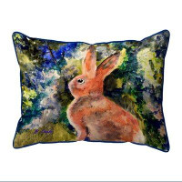 August Grove Cottontail Rabbit 20X24 Extra Large Zippered Indoor/Outdoor Pillow