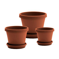 Winston Porter Marvetta (4-inch, 6-inch, 8-inch) Plastic Pot Planter and Saucer Set