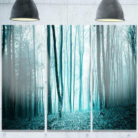 Made in Canada - Design Art Turquoise Coloured Magic Forest' 3 Piece Photographic Print on Metal Set