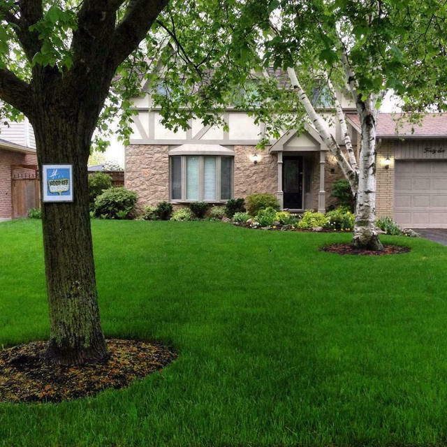 Spring Sod Special / Sod $1.50 SQ/FT Free Estimates, Removal and Install, New Lawn, New Grass, Book Now!! in Other in Toronto (GTA) - Image 2